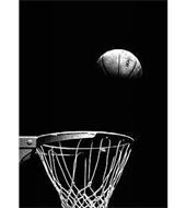 South Fayette Boys Basketball